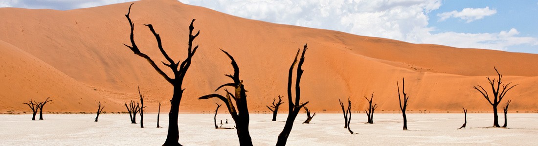 bandeau_haut_home_namibie